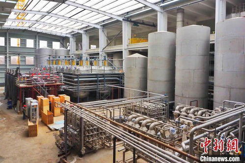 全國產(chǎn)糧大縣 德州平原做強農(nóng)產(chǎn)品深加工 打造中國北方 食谷