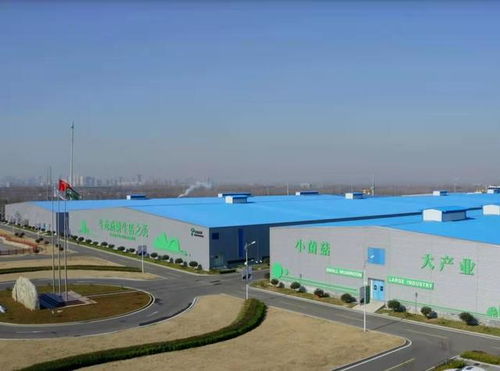 從煤炭到金針菇 電石產(chǎn)業(yè)轉(zhuǎn)型中的食用菌超級(jí)工廠