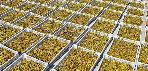 好消息 大荔三大特色產品被授予第十四屆全運會特許商品